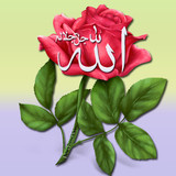 Dini Resim V250120261432 N5