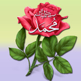 Dini Resim V250120261432 N29