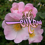 Dini Resim V250120261432 N11