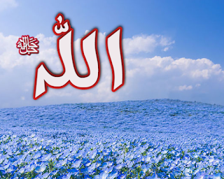 Dini Resim V250120261432 N59.png