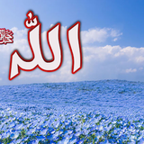 Dini Resim V250120261432 N59