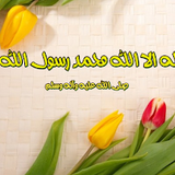 Dini Resim V250120261432 N50