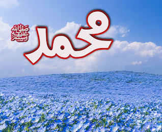 [Image: fsX3f29.png]