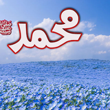 Dini Resim V250120261432 N38