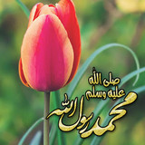 Dini Resim V250120261432 N61