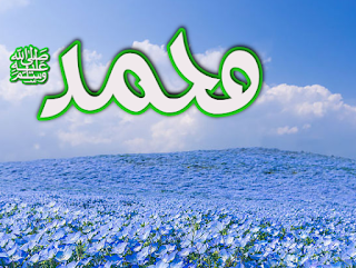 Dini Resim V250120261432 N44.png