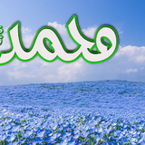 Dini Resim V250120261432 N44