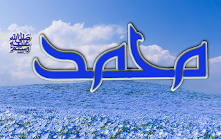 Dini Resim V250120261432 N41.png