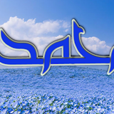 Dini Resim V250120261432 N41