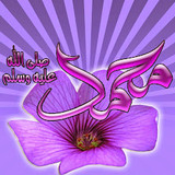 Dini Resim V250120261432 N85