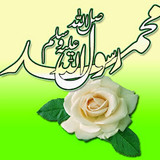 Dini Resim V250120261432 N73