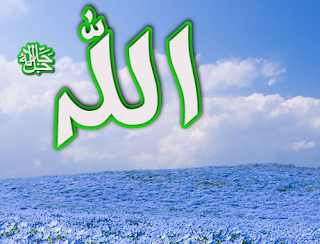 Dini Resim V250120261432 N83.png