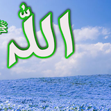 Dini Resim V250120261432 N83