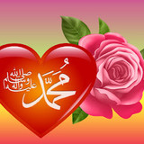 Dini Resim V250120261432 N91