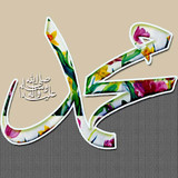 Dini Resim V250120261432 N79