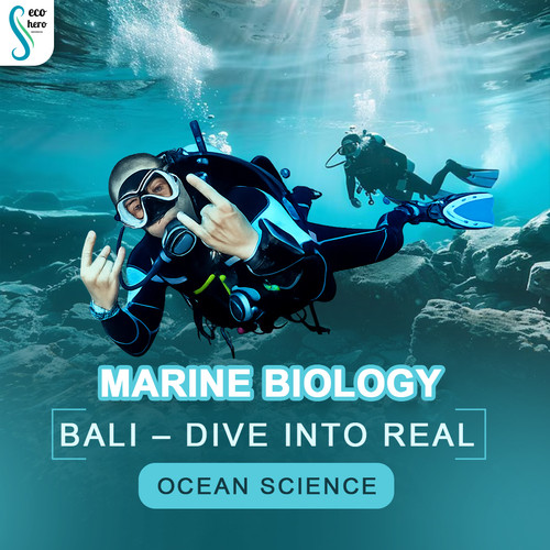 Marine Biology Bali – Dive into Real Ocean Science.jpg