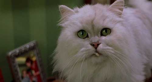 vlcsnap 2026 01 29 16h58m25s636.png