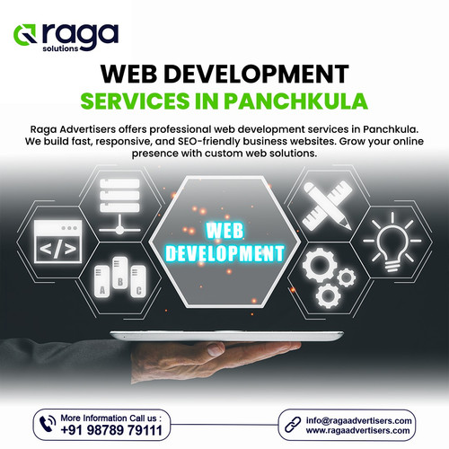 Web Development Services in Panchkula.jpg