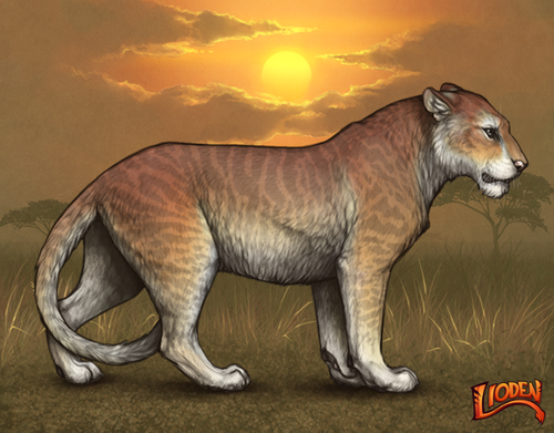 lion 794251584769.png