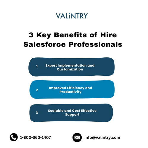 3 Key Benefits of Hire Salesforce Professionals.jpg