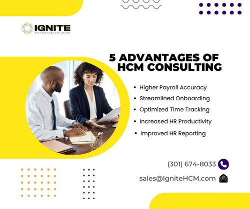 5 Advantages of HCM Consulting.jpg