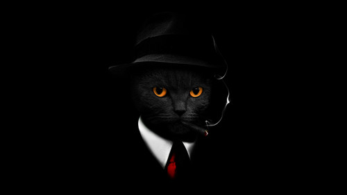 black cat black background hat suit cigar scary 3840x2160 6597.jpg
