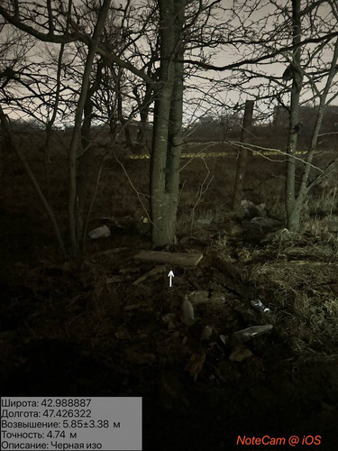 photo 17 2026 01 29 02 25 37.jpg