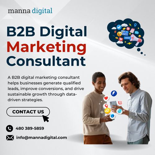 b2b digital marketing consultant (1).png