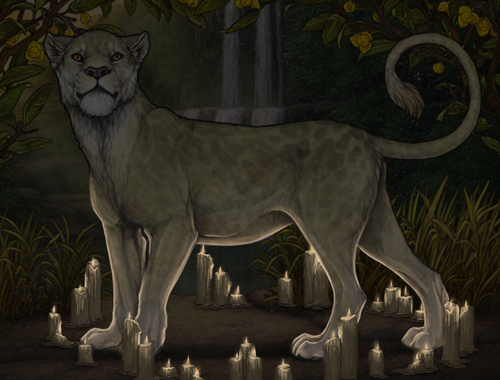 king nat nighttime preview