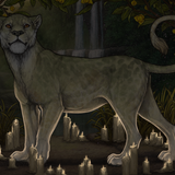 king nat nighttime preview