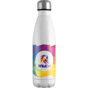 Vacuum Stainless Steel Bottle.jpg