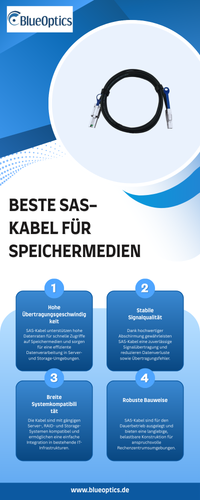Hochleistungs-SAS-Kabel für professionelle Speicherlösungen.png