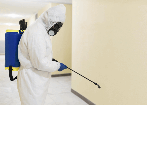 Pest Control Services.gif