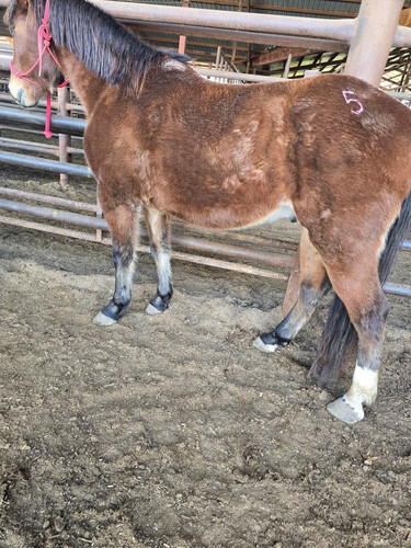 G 5BunUXcAAwJwg?format=jpg.jpg