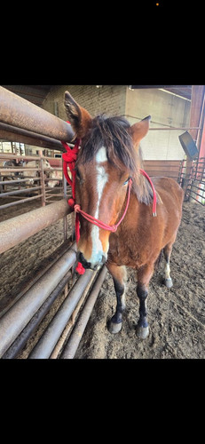 G 5Bw2QWoAABJt ?format=jpg.jpg