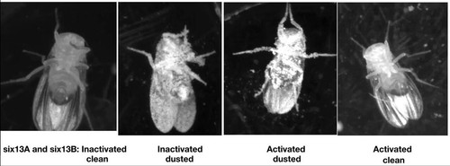 dlHqhpfJ d2NwpoG.jpg