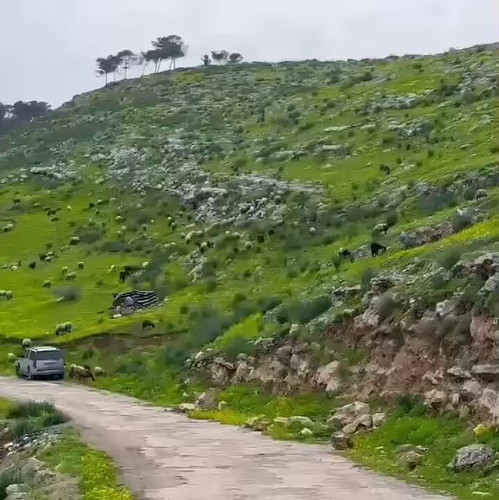 gr IltC9peIo1zr3.jpg