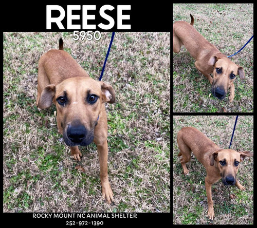 G m6kq5WYAACEd9?format=jpg.jpg