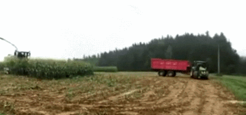 daily gifdump 5100 41.gif