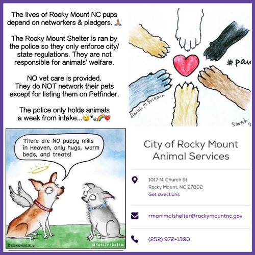 G m6kpyWQAAHjeQ?format=jpg.jpg