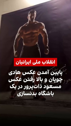 fxMYYChncki IQL6.jpg