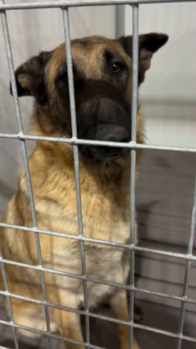 o cRXR91mXprbvat.jpg