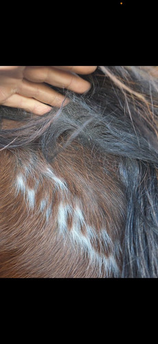 G 5Byt2XsAAcxzS?format=jpg.jpg