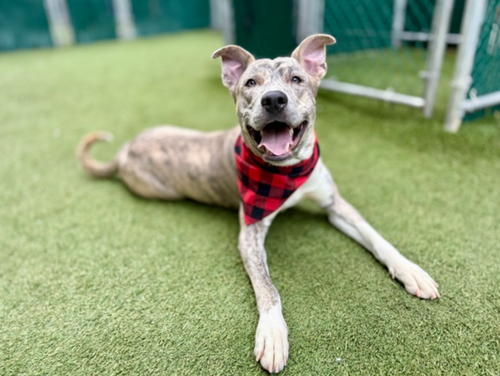 G G7HYIa0AQxI7t?format=png.png