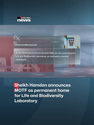 L3LzRdhN8W0b BS3.jpg