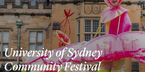 USYD Community Festival.jpg