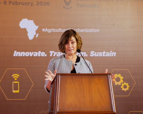 HAPNV 5W4AA90P0?format=jpg.jpg