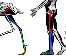 chrome 2026 02 04 01 51 19.png