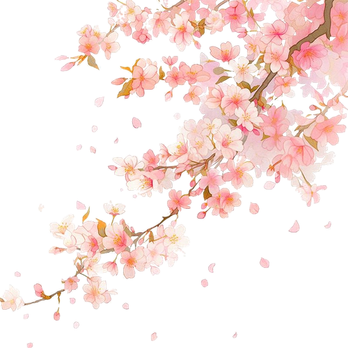 无标题3 20260203201001.png