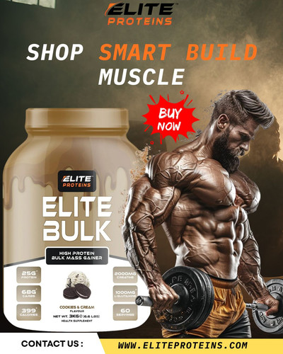 Best Protein Powder for Beginners to Gain Muscle.jpg